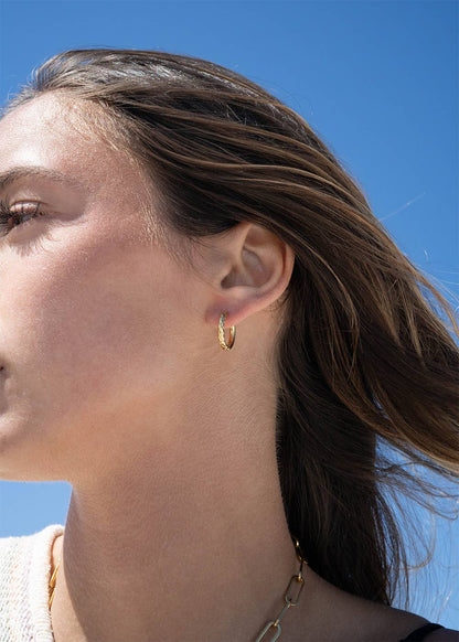 Half Textured Huggie Hoop Earrings 18K Gold PVD Stainless Steel